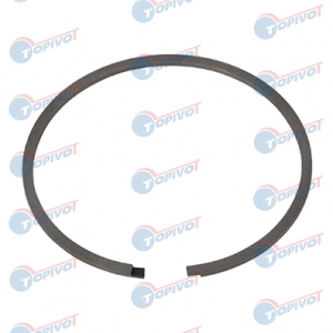 piston ring 10007056