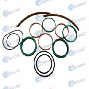 10031423KIT